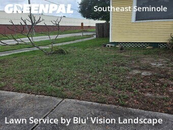 Grass Cut nearby Tampa, FL, 