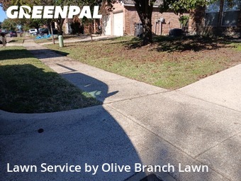 Lawn Management in Roanoke, 76262, Yard Care Services by Olive Branch Lawn, work completed in Dec , 2025