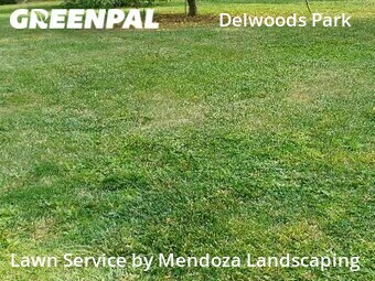 Lawn Care Service nearby Greensboro, NC, 