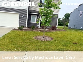 Grass Cutting nearby Indianapolis, IN, 