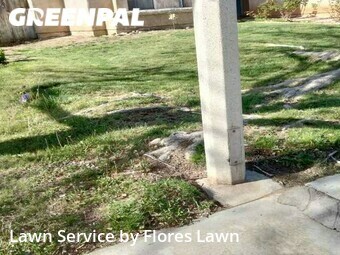 Lawn Cutting nearby Palmdale, CA, 