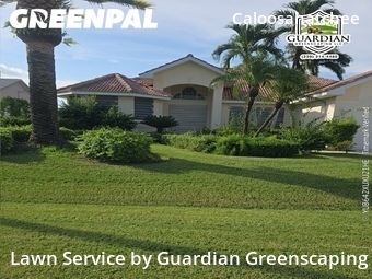 Lawn Maintenance nearby Cape Coral, FL, 