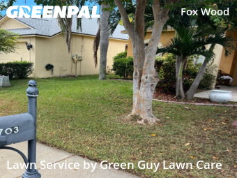 Lawn Cut nearby Trinity, FL, 