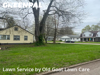 Grass Cut nearby Battle Creek, MI, 