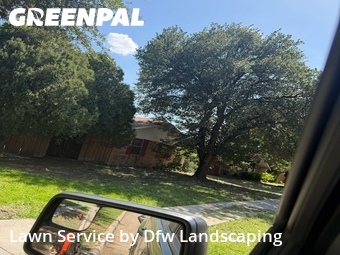 Grass Cutting nearby The Colony, TX, 