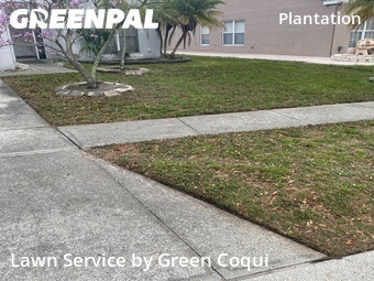 Lawn Mow nearby Tampa, FL, 