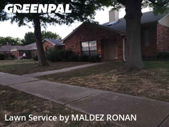 Yard Grooming in Coppell, 75019, Yard Cutting by MALDEZ RONAN, work completed in Nov , 2025
