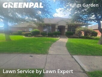 Lawn Cuttingin Frisco,75034,Lawn Care by Lawn Expert, work completed in Jul , 2026