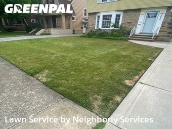 Yard Mowing nearby Cleveland Heights, OH, 