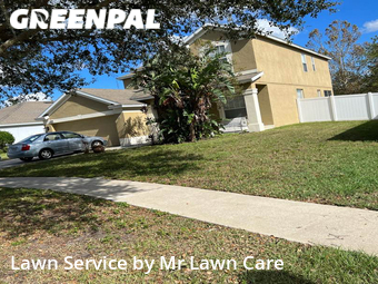 Lawn Mow nearby Valrico, FL, 