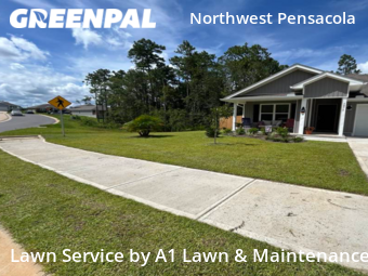 Grass Cut nearby Bellview, FL, 