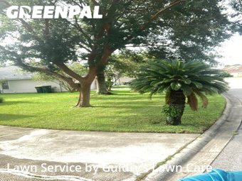 Lawn Cut nearby Jacksonville, FL, 