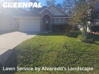 Grass Cut nearby Willis, TX, 