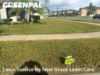Lawn Maintenance nearby Sun City Center, FL, 