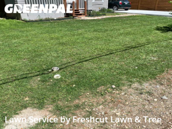 Lawn Mow nearby Seguin, TX, 