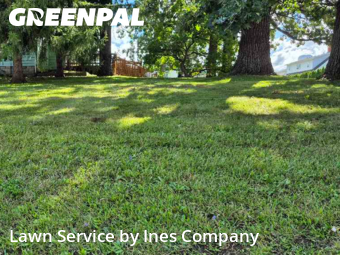 Lawn Maintenance in Oak Forest, 60452, Lawn Upkeep by Ines Company, work completed in Oct , 2025