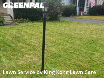 Grass Cuttingin Brighton,14610,Lawn Cut by King Kong, work completed in Jan , 2026