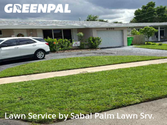 Lawn Mowing Servicein Sunrise,33322,Lawn Mowing Service by Sabal Palm Lawn Srv., work completed in Dec , 2025