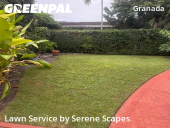 Grass Cut nearby Miami, FL, 