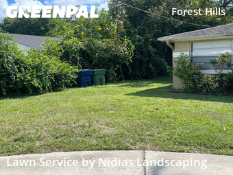 Lawn Cut nearby Tampa, FL, 