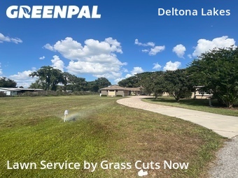 Lawn Cut nearby Grand Island, FL, 