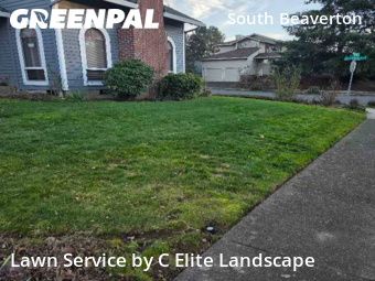 Lawn mowed in Beaverton, 97008
