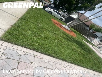 Yard Mowing nearby Sunrise, FL, 