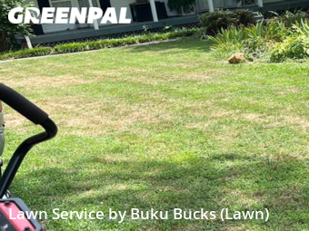 Grass Cut nearby Butner, NC, 