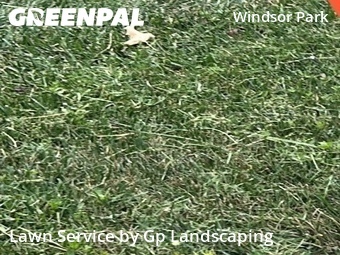 Lawn Care Service nearby Charlotte, NC, 