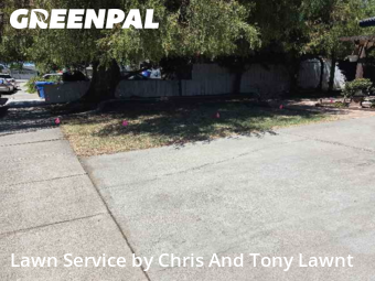 local-lawn-care-services-in-Modesto-CA