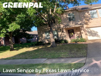 Lawn Cut nearby Euless, TX, 