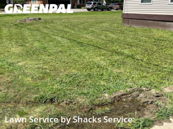 Grass Cutting nearby Warren, OH, 