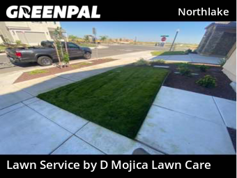 Yard Cutting nearby Sacramento, CA, 