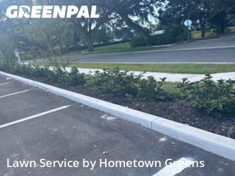 Lawn Mowing nearby Brandon, FL, 