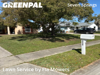 Lawn Maintenance nearby Trinity, FL, 