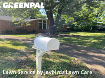 Grass Cutting nearby Decatur, AL, 