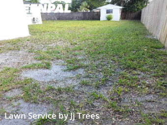 Lawn Mow nearby St. Petersburg, FL, 