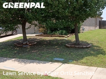 Lawn Mowing nearby Princeton, TX, 