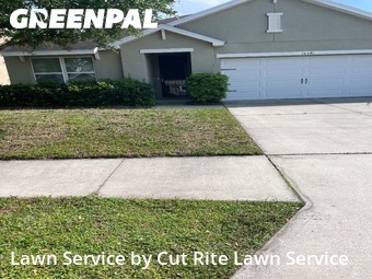 Lawn Care nearby Spring Hill, FL, 