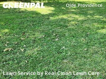 Grass Cut nearby Charlotte, NC, 