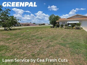 Lawn Mow nearby Ocala, FL, 