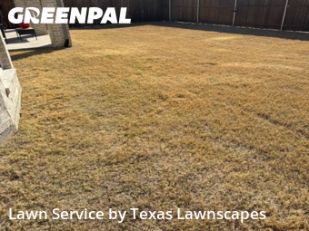 Lawn mowed in Frisco, 75035