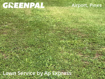 Grass Cut nearby Shreveport, LA, 