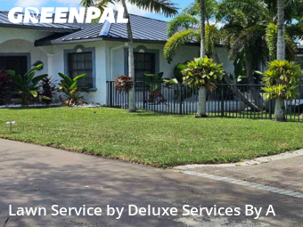 Lawn Mowing Servicein Fort Lauderdale,33312,Lawn Mow by Deluxe Services By A, work completed in Nov , 2025