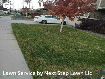 Lawn Mowing Service nearby Timnath, CO, 