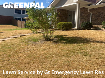 Lawn Cut nearby Carrollton, TX, 