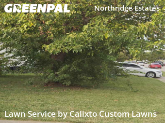 Lawn Mowingin Mesquite,75149,Lawn Care by Calixto Custom Lawns, work completed in Nov , 2025