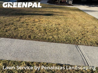 Yard Cutting nearby Lawrenceville, GA, 