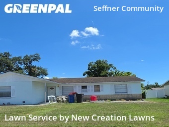 Lawn Cutting nearby Brandon, FL, 