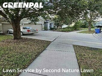 Grass Cut nearby Riverview, FL, 